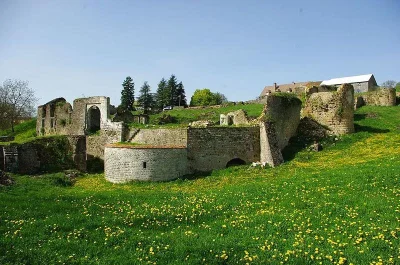 CHATEAU-DE-BEAUFREMONT-8211-Beaufremont_2139354