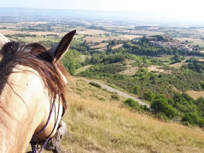 CHEVAUX-AU-VENT-8211-Fonters-du-Razes_3835803