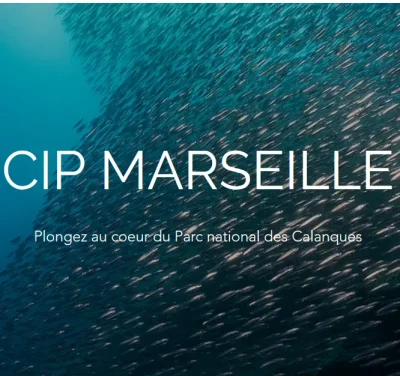 CIP-Marseille-Comptoir-International-des-Sports-8211-Marseille-8e-Arrondissement_2344908