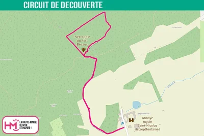 CIRCUIT-DE-DECOUVERTE-DE-LA-NECROPOLE-DE-FORT-BEVAUX-8211-Andelot-Blancheville_2565160