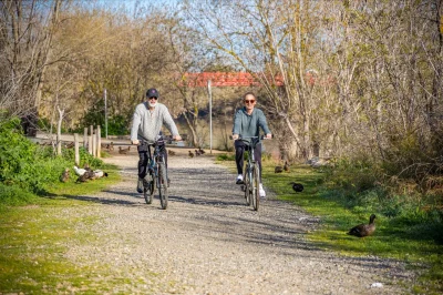 CIRCUIT-ENTRE-ORB-MER-ET-ETANG-8211-ESPACE-VTT-FFC-BEZIERS-MEDITERRANEE-8211-Serignan_1201330