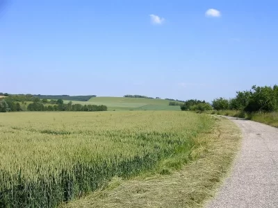 CIRCUIT-PEDESTRE-8211-SENTIER-DES-RAPPES_1023339