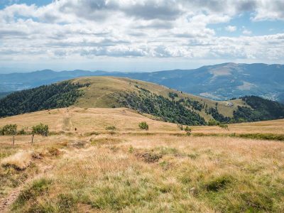 CIRCUIT-TRAIL-GERARDMER-N°8-ROUGE-8211-HAUTES-CHAUMES-ET-LACS_861
