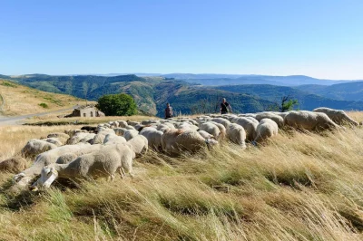 CONVERSATION-CROISEE-SUR-LAGROPASTORALISME-8211-26-04-2026-8211-Pont-de-Montvert-8211-Sud-Mont-Lozere_3175886