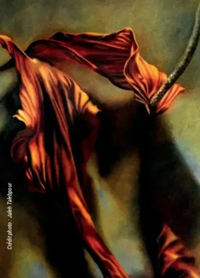 CRAYONS-DE-COULEURS-DECOUVERTE-ET-PERFECTIONNEMENT-8211-23-04-2025-8211-Chatellerault_2479009