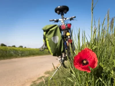 CYCLO-CLUB-DE-FOLSCHVILLER_314917