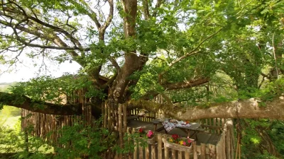Cabane-dans-les-arbres-la-Papyjotte-8211-Montfort-en-Chalosse_3097686
