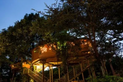 Cabanes-et-maisons-dans-les-branches-8211-DefiPlanet039-a-Dienne-8211-Dienne_2175425