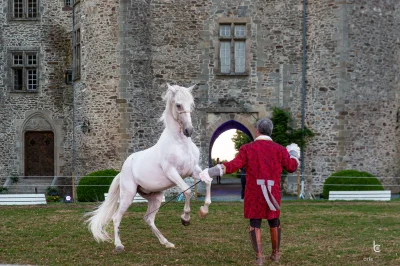 Cabaret-equestre-au-chateau-8211-09-08-2025-8211-Arnac-Pompadour_2155128