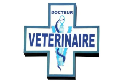 Cabinet-Veterinaire-Dune-et-Ocean-8211-Vensac_1870818