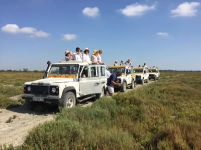 Camargue-Alpilles-Safari-8211-Arles_2396099