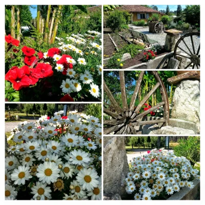 Camping-Domaine-du-Cayre-8211-Saint-Michel-Escalus_2912047