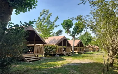 Camping-Ibarron-8211-Saint-Pee-sur-Nivelle_2889018
