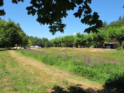 Camping-La-Chatonniere_34765