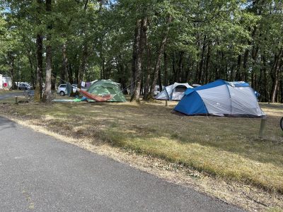 Camping-Les-Petites-Minaudieres_33561