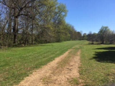 Camping-a-la-Ferme-de-La-Vergne_32149