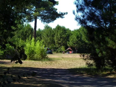 Camping-l039Acacia-8211-Aire-naturelle-8211-Hourtin_2862424