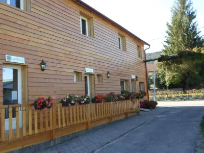 Camping-les-pinasses-8211-La-Chapelle-devant-Bruyeres_2433196