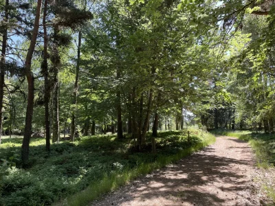 Cap-au-lac-8211-Trail-n°52-8211-Auroux_3739288