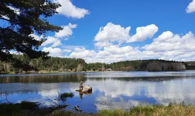 Cap-sur-le-lac-de-Ganivet-Trail-n°13-8211-Monts-de-Randon_3754802
