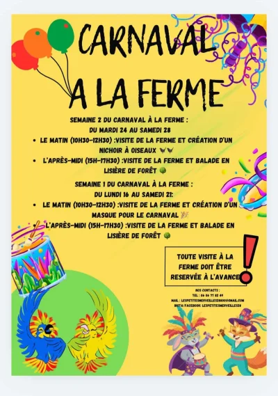 Carnaval-a-la-ferme-8211-16-02-2026-8211-Villiers-Saint-Orien_3430330