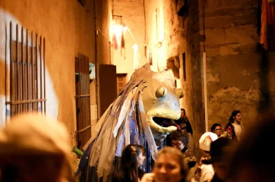 Carnaval-de-Pelissanne-Charivari-nocturne-en-famille-8211-14-02-2026-8211-Pelissanne_3489905