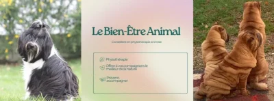 Carole-Blanchot-conseillere-en-bien-etre-animal-et-naturopathe-animaliere-8211-Cambo-les-Bains_3338557