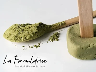 Caroline-Engel-–-La-Formulatrice-Botanical-Skincare-Institute-8211-Haux_3316147
