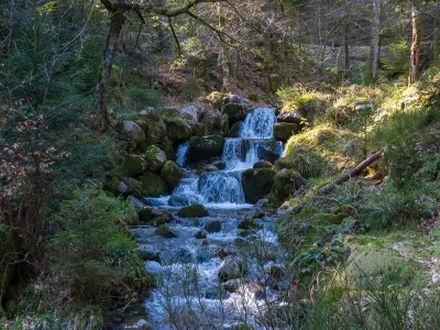 Cascade-de-Morbieux-8211-Saulxures-sur-Moselotte_2602801