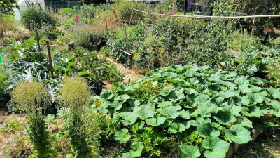 Causerie-jardin-venez-parler-jardinage-8211-17-10-2025-8211-Saulge_2985515