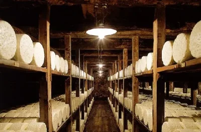 Caves-Roquefort-Societe-groupes-8211-Roquefort-sur-Soulzon_2265890