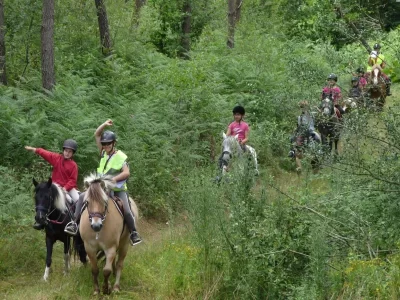 Centre-Equestre-Poney-Club-Elevage-de-l039Ile_1134288