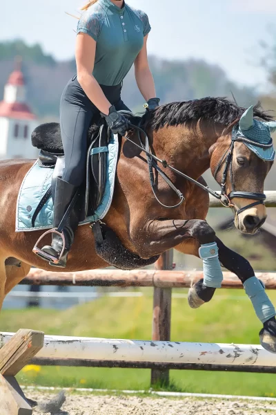 Centre-Equestre-de-Barbentane_714437