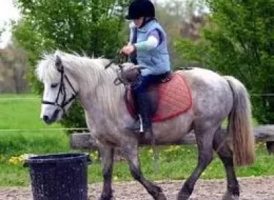Centre-Equestre-et-Poney-Club-La-Metairie-du-Roc_1136322