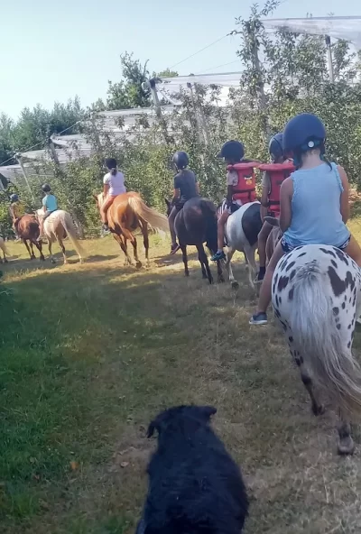 Centre-Equestre-l039Eperon-Laurentais_1060065