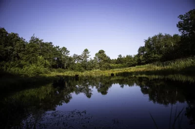 Centre-de-Biodiversite-Jean-Rostand_600490