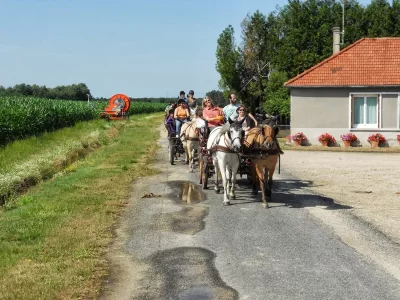 Centre-de-Tourisme-Equestre-8211-Attelage-Plaisir_510176