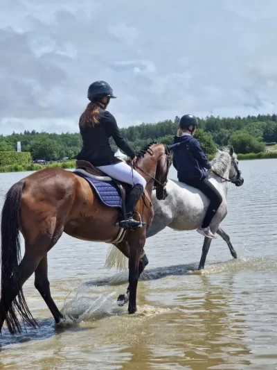 Centre-equestre-8211-Saint-Paul-Lizonne_1509186