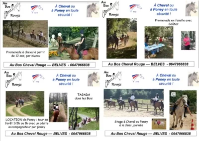 Centre-equestre-Au-bos-cheval-rouge_1064886