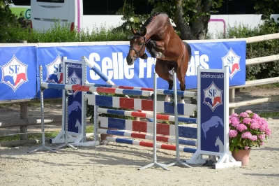 Centre-equestre-d039Idoine_690647