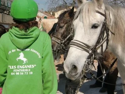 Centre-equestre-des-Enganes-8211-Fontvieille_2347841