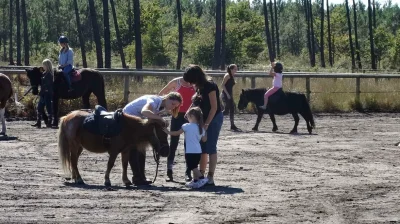 Centre-equestre-des-Pins-8211-Audenge_3521620