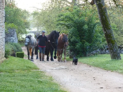 Centre-equestre-du-Chateau-de-Laumiere-8211-Promilhanes_2226825