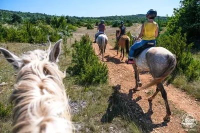 Centre-equestre-du-Larzac-8211-Domaine-de-Gaillac-8211-Sauclieres_2225841-1