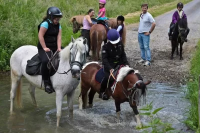 Centre-equestre-et-poney-club-de-Marlemont_1139013
