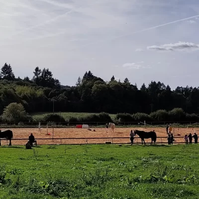 Centre-equestre-les-Paladins-de-Saint-Agnan_1106694