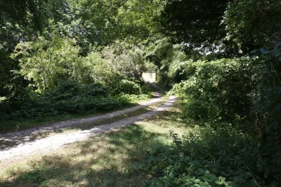 Chambon-la-Foret-8211-Chambon-la-Foret_3214870