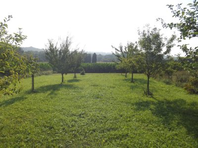 Chambre-d039hotes-Le-Grand-Larrocq_47348