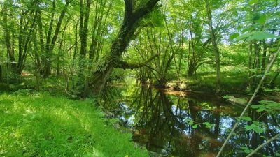 Chambre-d039hotes-Moulin-de-chez-Joyeux_45399