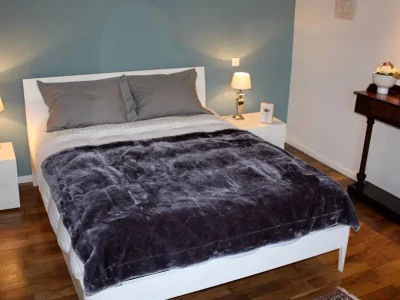 Chambre-dhotes-Les-Myosotis-8211-Zetting_3256592